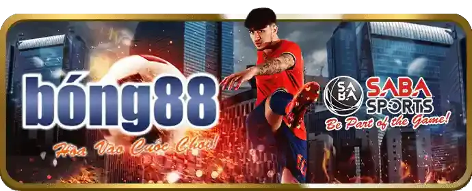 Đá Gà NH88
